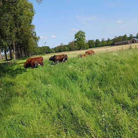 Cosy Farm Near The Forest *