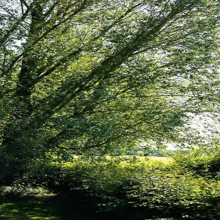 Cozy Countryside Getaway De Heurne