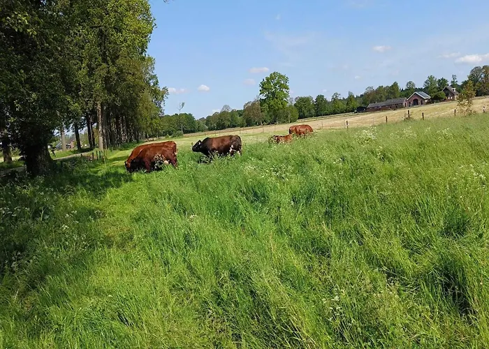 Cozy Countryside Getaway *