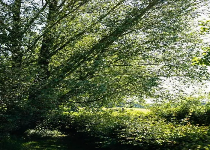 Cozy Countryside Getaway De Heurne